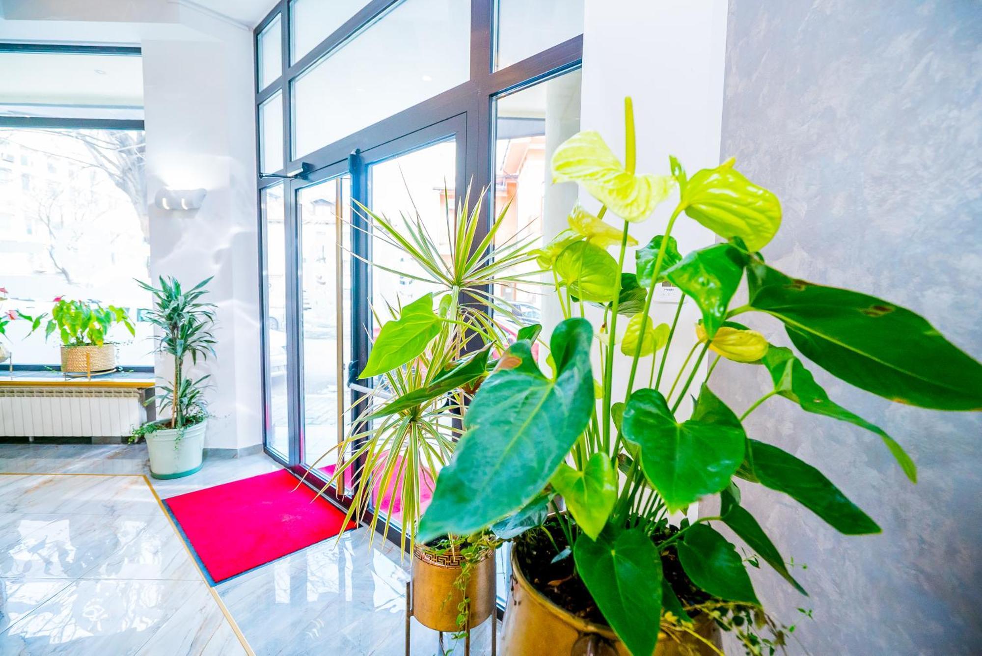 Hotel Guci